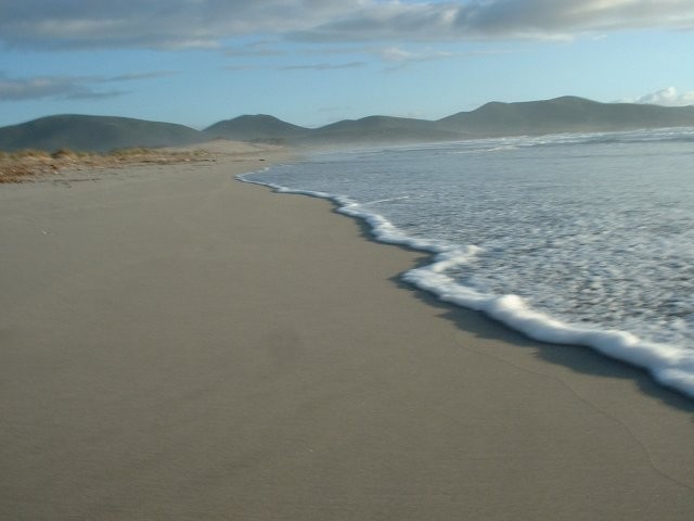 Gallery view 4