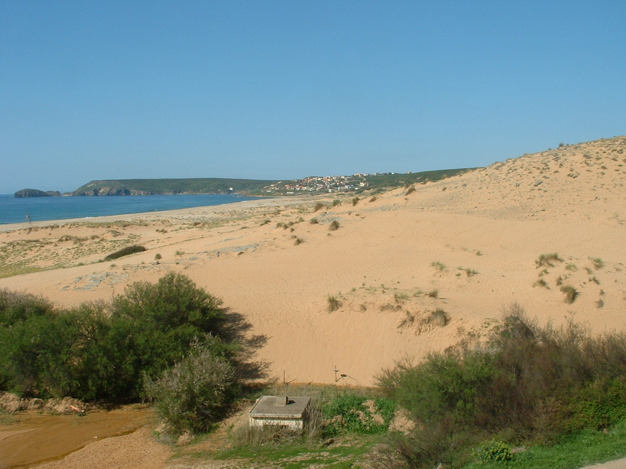 Gallery view 1