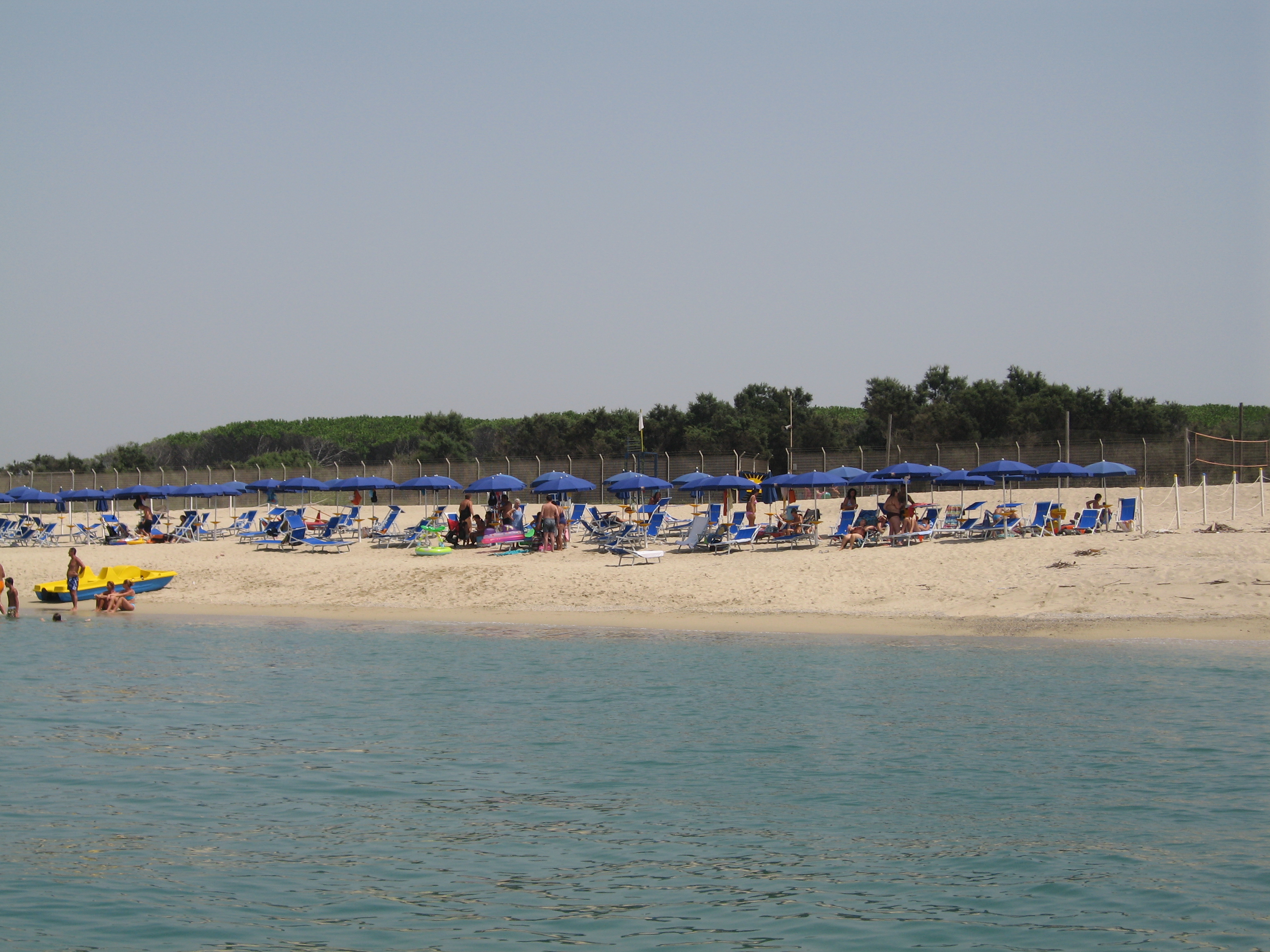 Main view